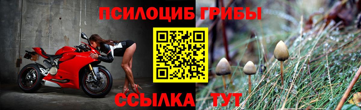 Псилоцибиновые грибы Magic Shrooms Владимир